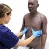 Exploración de los sistemas respiratorio y cardiovascular (CaRE) de Limbs & Things