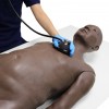 Exploración de los sistemas respiratorio y cardiovascular (CaRE) de Limbs & Things