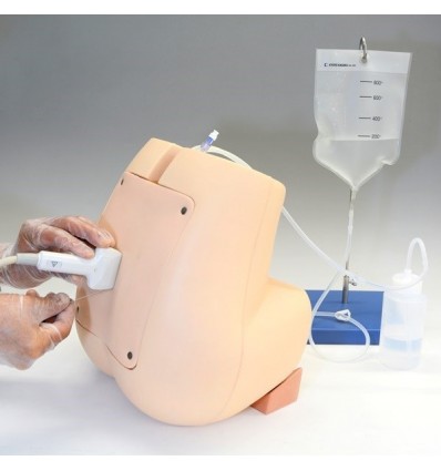 Simulador para punción lumbar/epidural ecoguiada