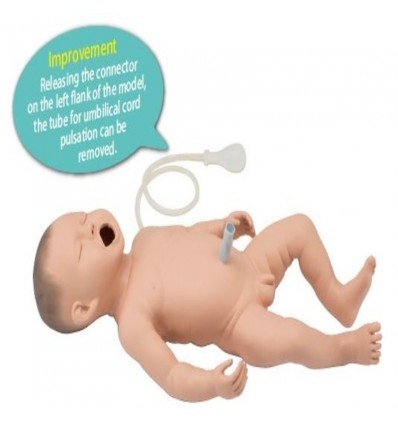 Modelo para Reanimación Neonatal